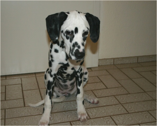 <b>wo bist du? ich warte!<b>